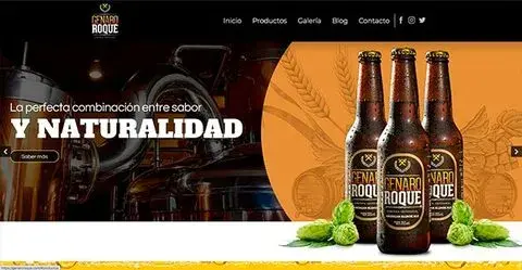 Desarrollo de páginas web - Genaro Roque