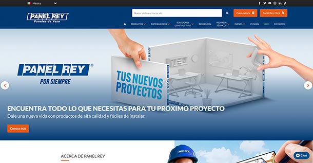 Desarrollo de páginas web - Panel Rey