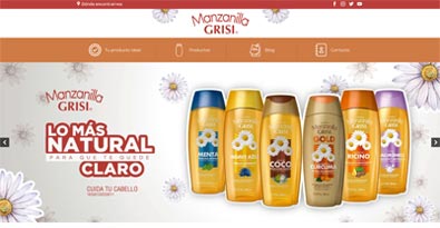 Desarrollo de páginas web - Manzanilla Grisi