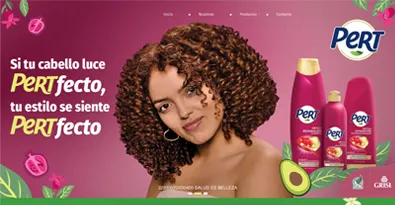 Desarrollo de páginas web - Pert